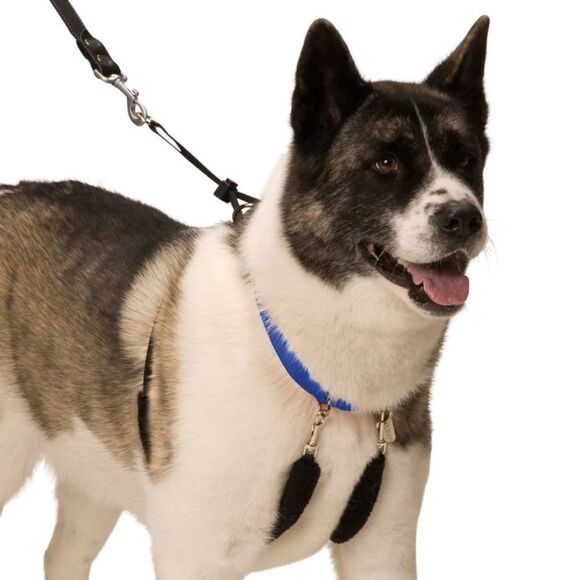 𝅺Sporn Non-Pull Mesh Harness™​​ - Picture 1 of 3